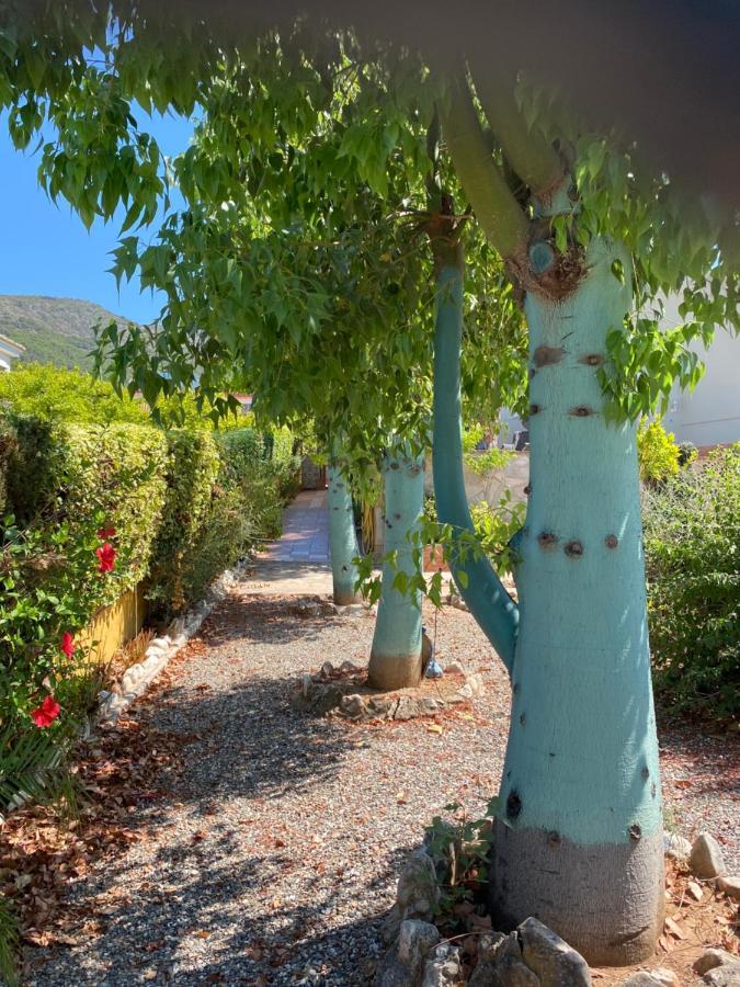 B&B Casa Oceo - Malaga - Andalusie Alhaurín de la Torre Екстериор снимка